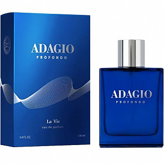 Парфюмерная вода мужская Dilis LA VIE Adagio Profondo 100мл