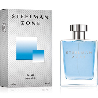 Туалетная вода мужская Dilis LA VIE Steelman Zone 100мл