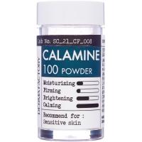 Косметический порошок каламина для ухода за кожей DERMA FACTORY Calamine 100 Powder 6г