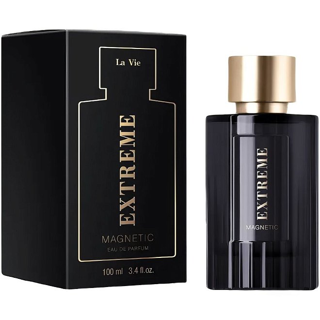 Парфюмерная вода мужская Dilis LA VIE "Extreme Magnetic" 100мл