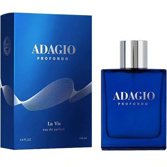 Парфюмерная вода мужская Dilis LA VIE Adagio Profondo 100мл