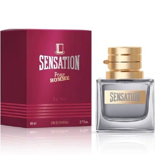 Парфюмерная вода мужская Dilis LA VIE Sensation Pour Homme 80мл