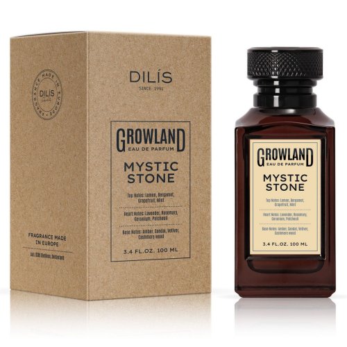 Парфюмерная вода мужская Dilis The Growland Mystic Stone 100мл